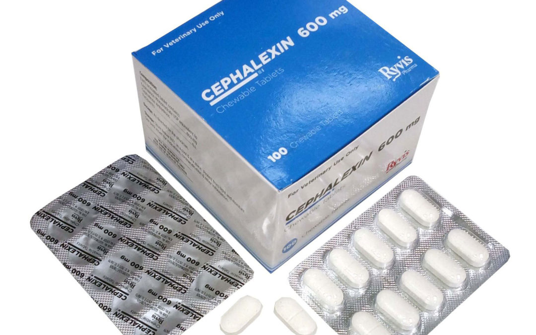 Cephalexin Chewable Tablets 600 mg