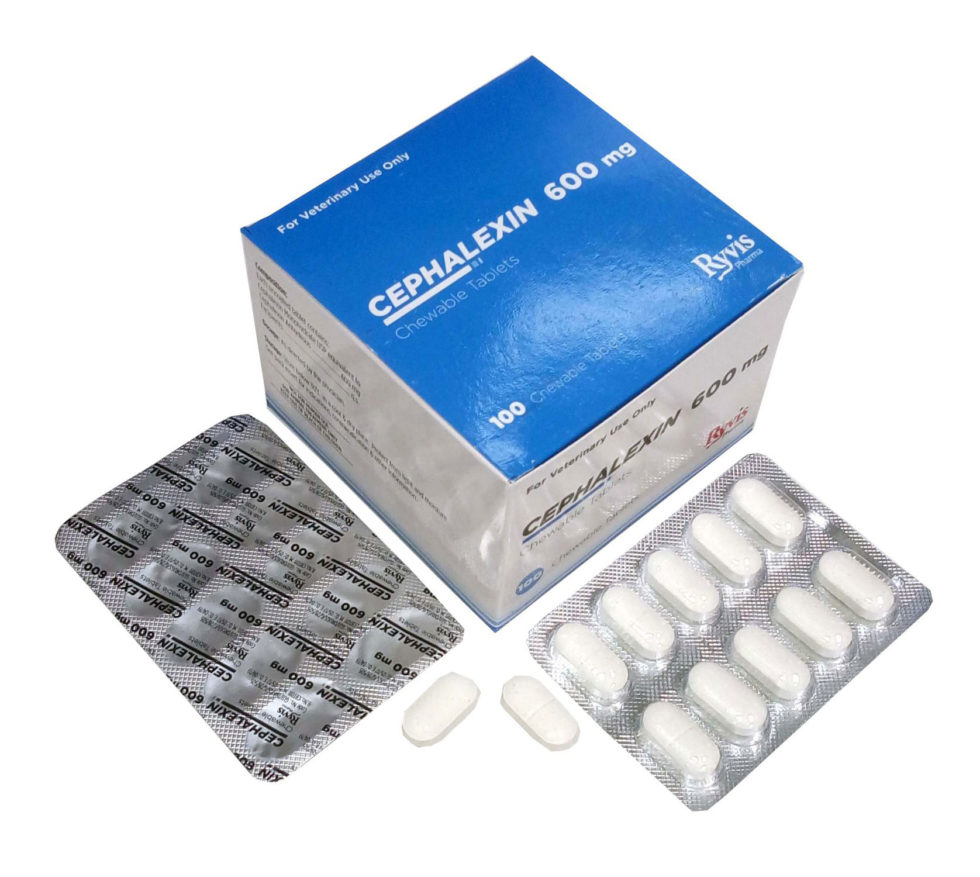 Cephalexin Chewable Tablets 600 mg Ryvis Pharma