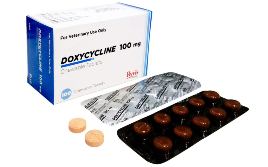 Doxycycline Chewable Tablets 100 mg