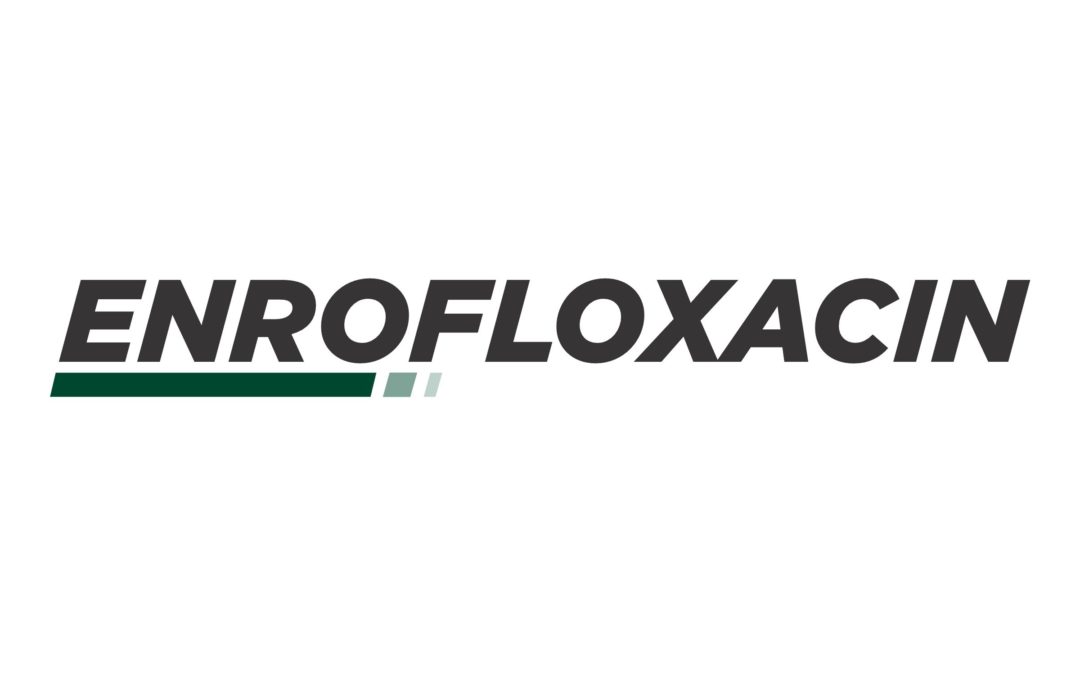 Enrofloxacin Injection