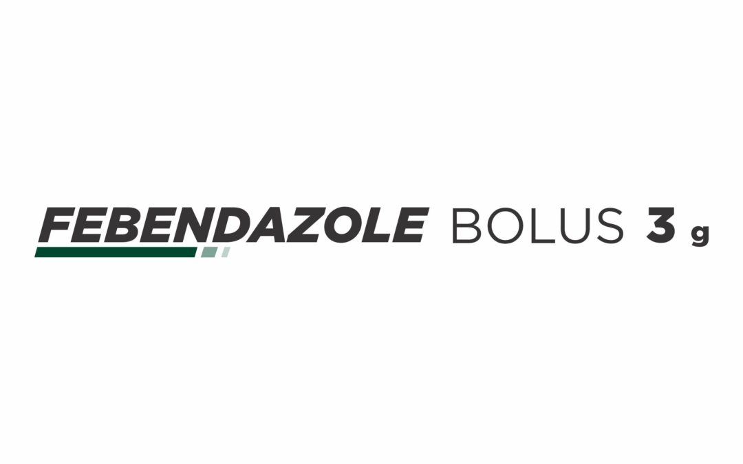 Febendazole Bolus