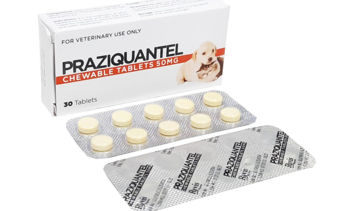 Praziquantel Chewable Tablets 50 mg