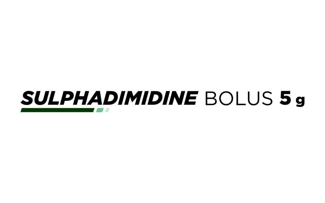 Sulphadimidine Bolus