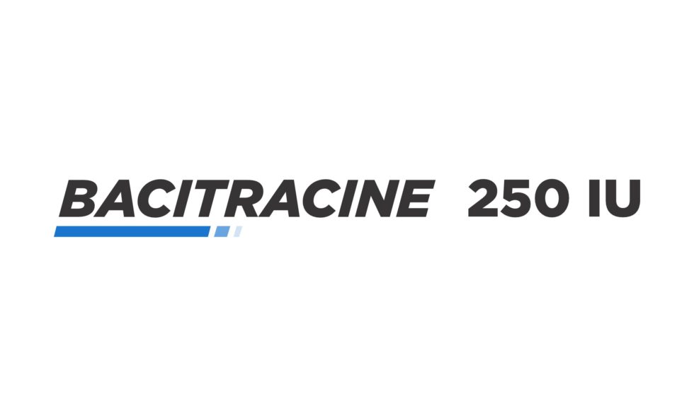 Bacitracine Ointment USP 250 IU | Ryvis Pharma