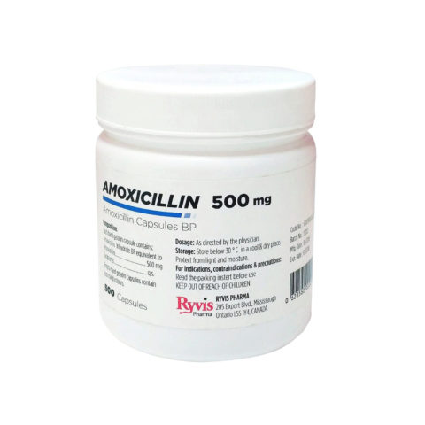 Amoxicillin Capsules BP 500 Mg | Ryvis Pharma