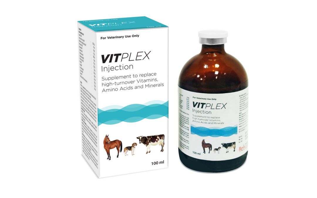 Vitplex